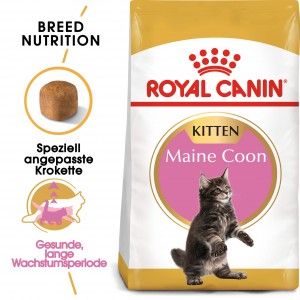 Royal Canin Feline Maine Coon Kitten 400g