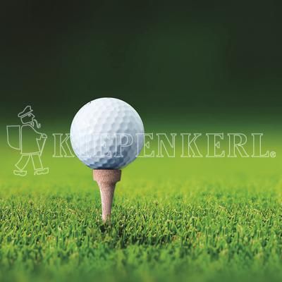 Kiepenkerl RSM 4.3 Golfrasen Abschlag 10 kg