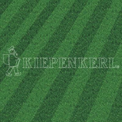 Kiepenkerl RSM 3.2 Profi Sportrasen Regeneration mit Poa 10kg