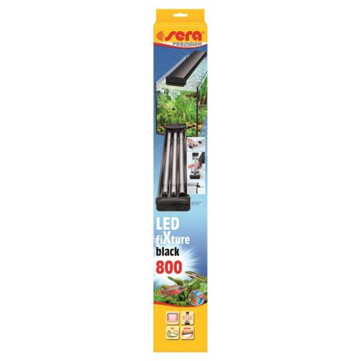 sera LED fiXture black 800