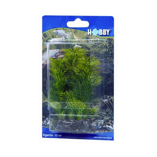 Dohse HOBBY Egeria 13 cm