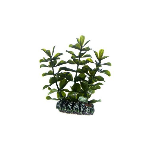 Dohse HOBBY Bacopa 7 cm