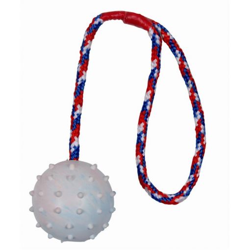 Trixie Ball am Seil, Naturgummi  6 cm 30 cm